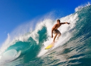 开云体育视频直播-猛龙对阵火箭，英格拉姆里程碑之夜，见证独一无二的成长轨迹