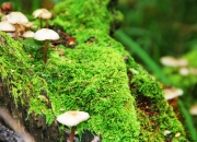 开云体育中国-跨界狂想，当内马尔在NBA季后赛接管比赛，巴拉圭却在足球场斩落马里